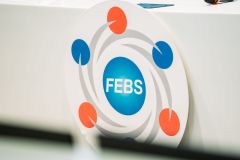 LSF06648